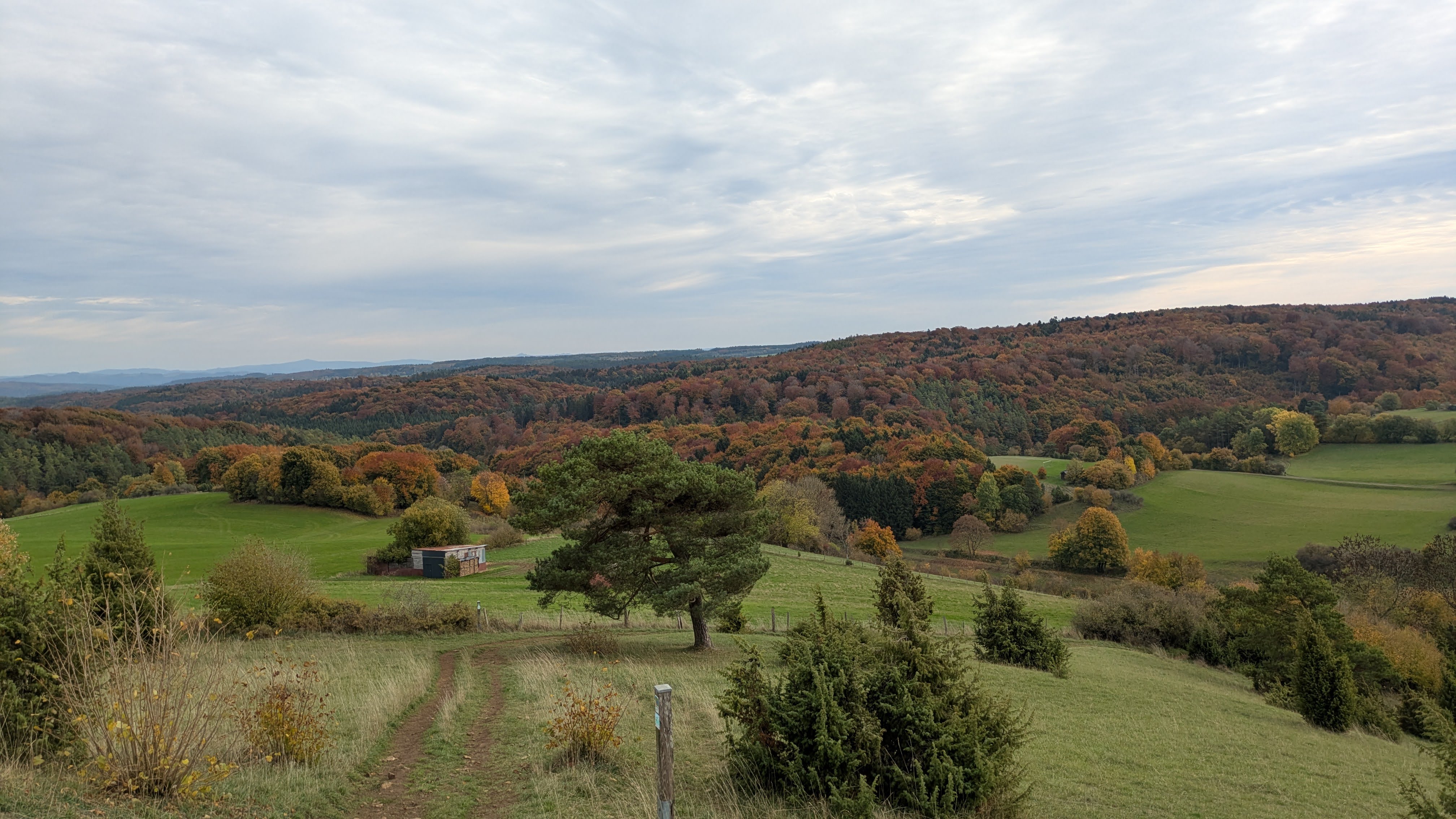farmland and forest