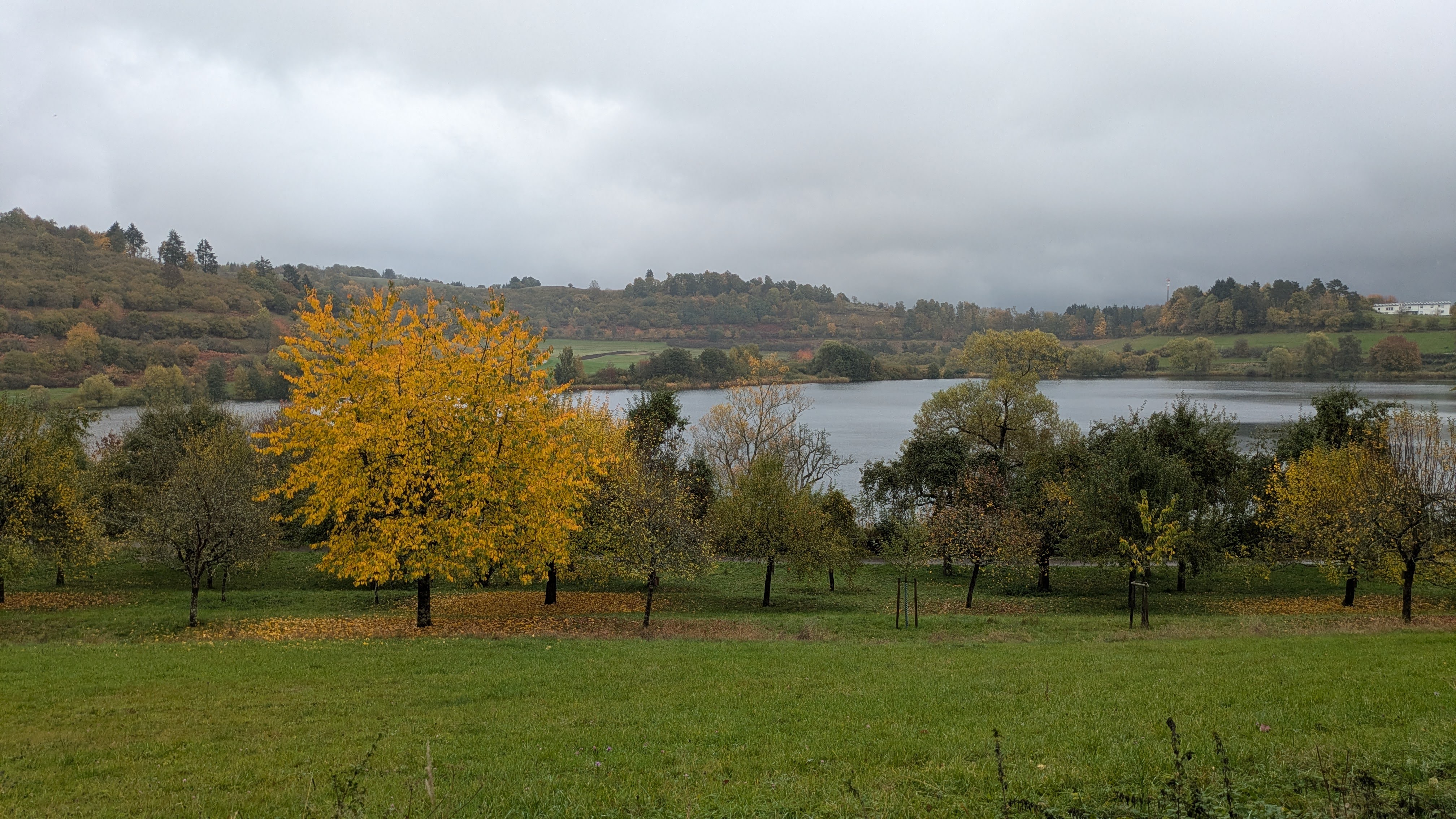 Schalkenmehrener Maar