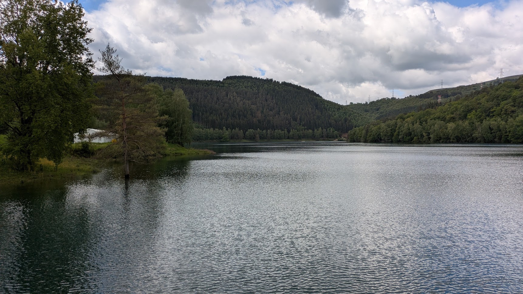 coo bassin inférieur