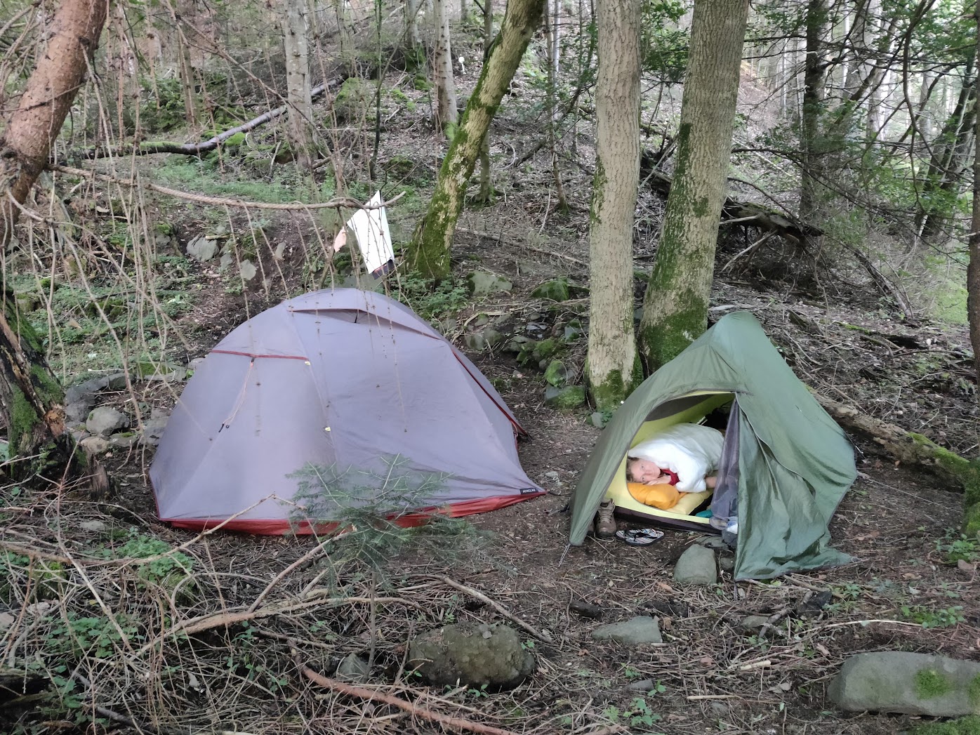 bivouac in the forest